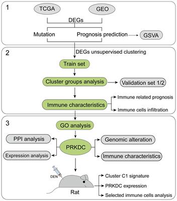 Identification of Gene-Set Signature in Early-Stage Hepatocellular Carcinoma and Relevant Immune Characteristics